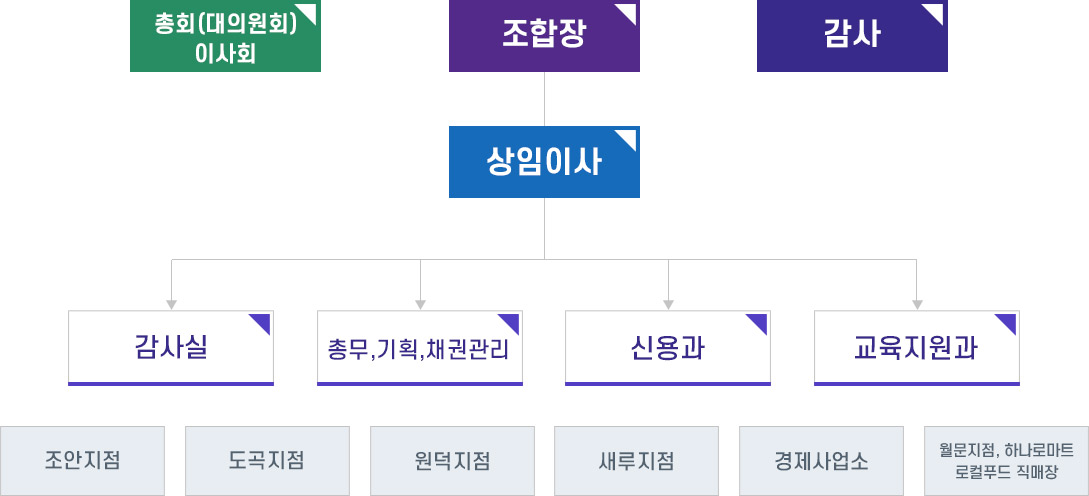 조직도
